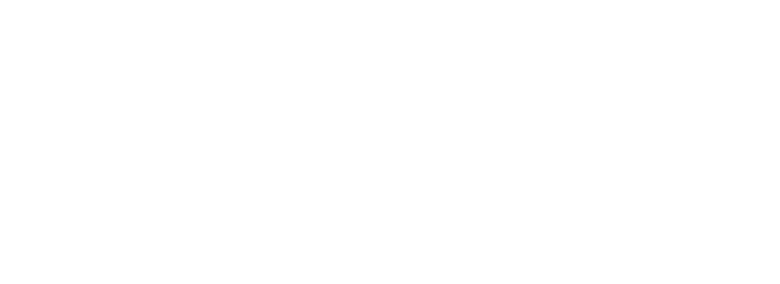 SLAM Logo White
